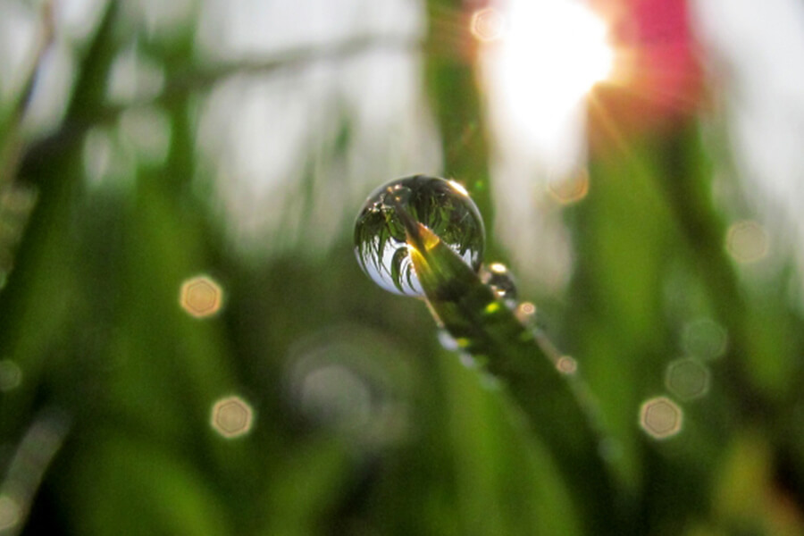 SEVENS_image1